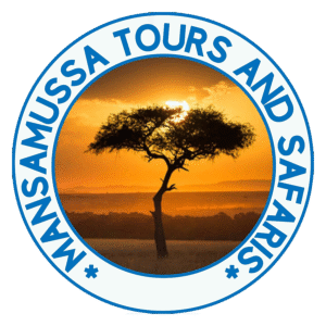 MansaMussa