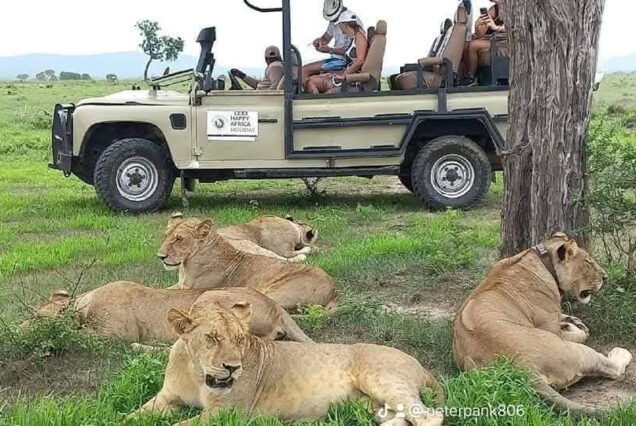 1 DAY TO  SELOUS NATIONAL PARK