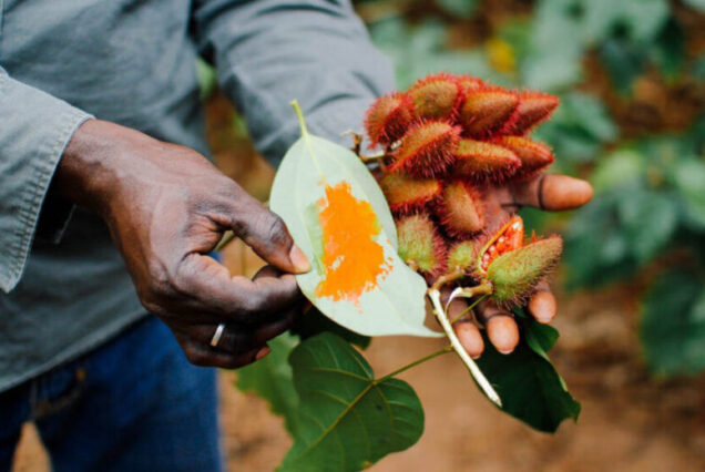Spice Farm Tour